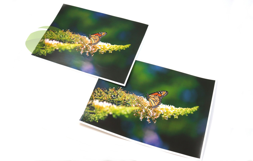 Fotografia s vysokým pokrytím