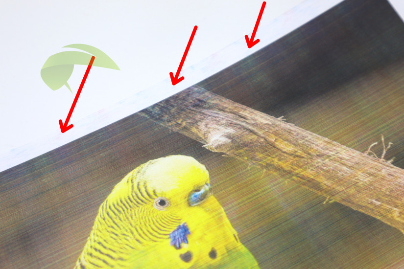 Lacné kompatibilné tonery HP a nekvalitná tlač