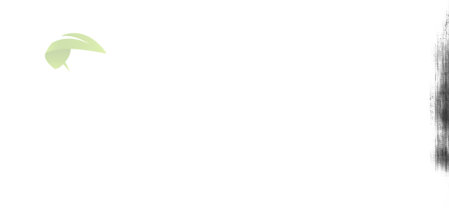 Čierne pruhy na okraji vytlačenej stránky spôsobené opotrebovaným fotovalcom