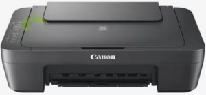 Canon PIXMA MG2556S