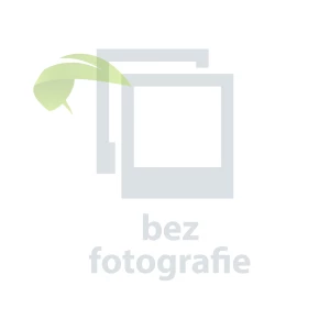 Epson ERC30