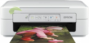 Epson XP-247