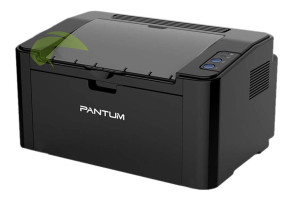 Pantum P2500