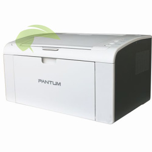 Pantum P2509W