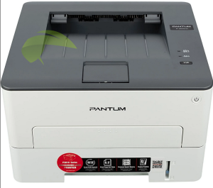Pantum P3010DW